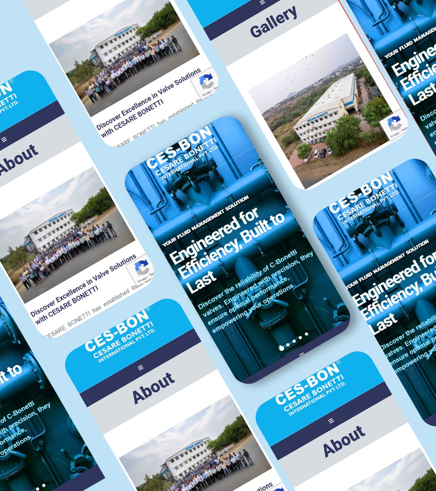 WhatsApp Image 2024-12-31 at 6.02.28 PM